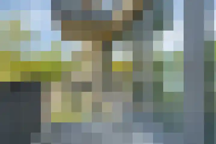 Siersteenlaan 365 e Groningen thumbnail 13