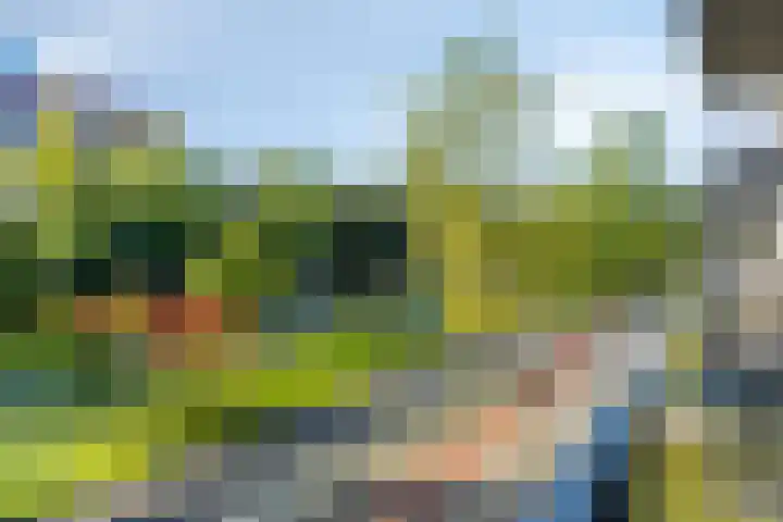 Siersteenlaan 365 e Groningen thumbnail 14
