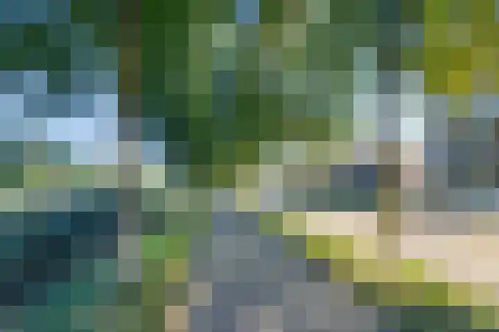 Siersteenlaan 365 e Groningen thumbnail 29