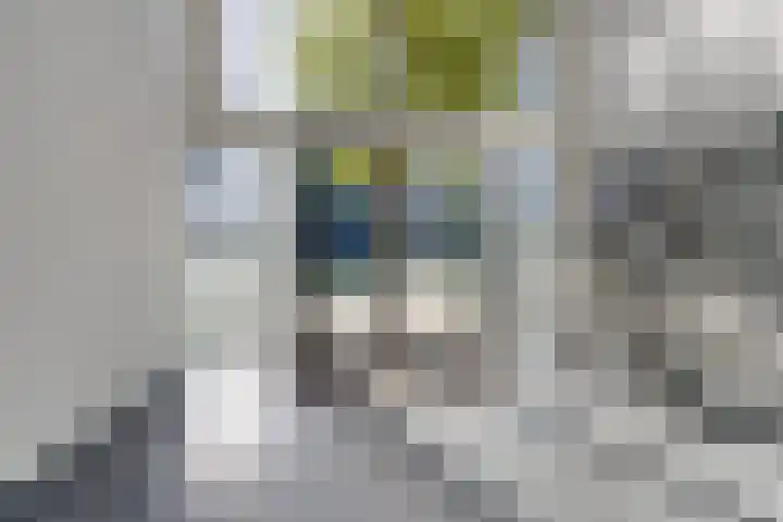 Siersteenlaan 365 e Groningen thumbnail 5