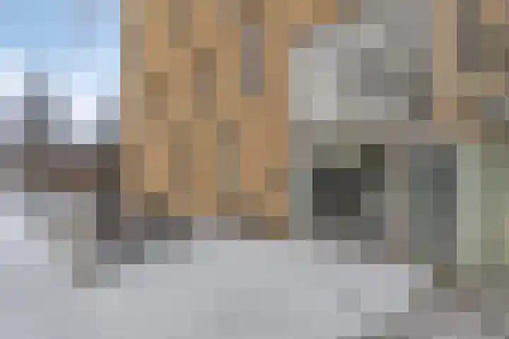 Siersteenlaan 365 Groningen thumbnail 4