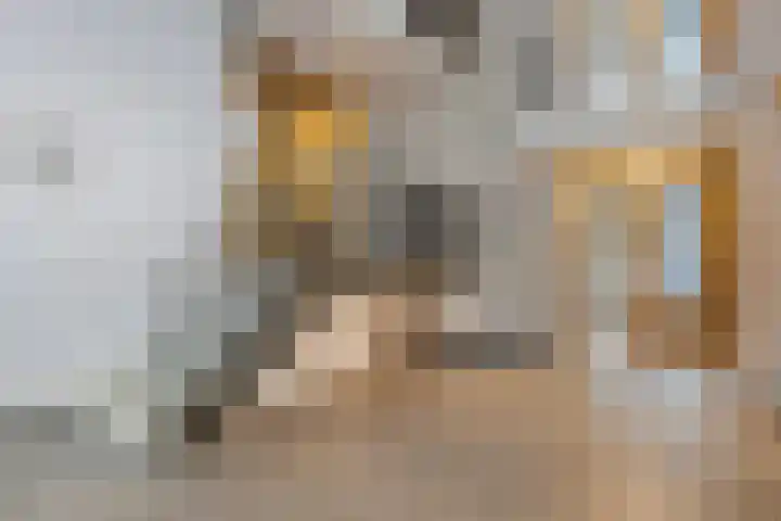 Siersteenlaan 365 Groningen thumbnail 5