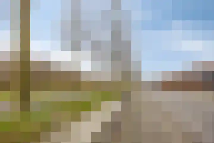 Siersteenlaan 367 e Groningen thumbnail 22