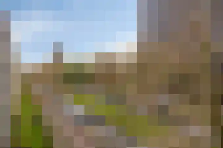 Siersteenlaan 367 g Groningen thumbnail 11