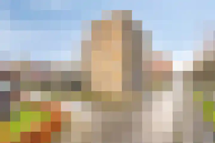 Siersteenlaan 367 g Groningen thumbnail 22