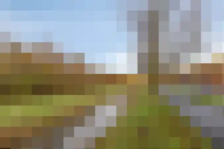 Siersteenlaan 367 g Groningen thumbnail 25