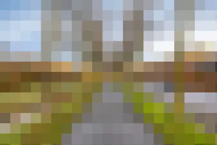 Siersteenlaan 367 g Groningen thumbnail 26