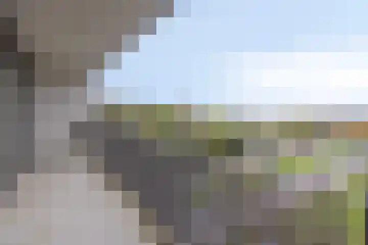 Siersteenlaan 371 a Groningen thumbnail 15