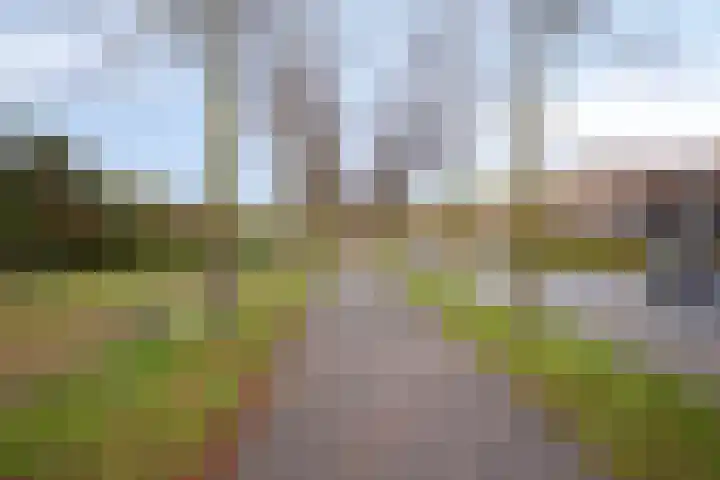 Siersteenlaan 371 a Groningen thumbnail 26