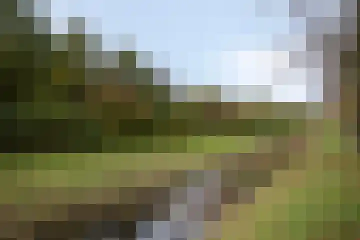 Siersteenlaan 371 a Groningen thumbnail 27
