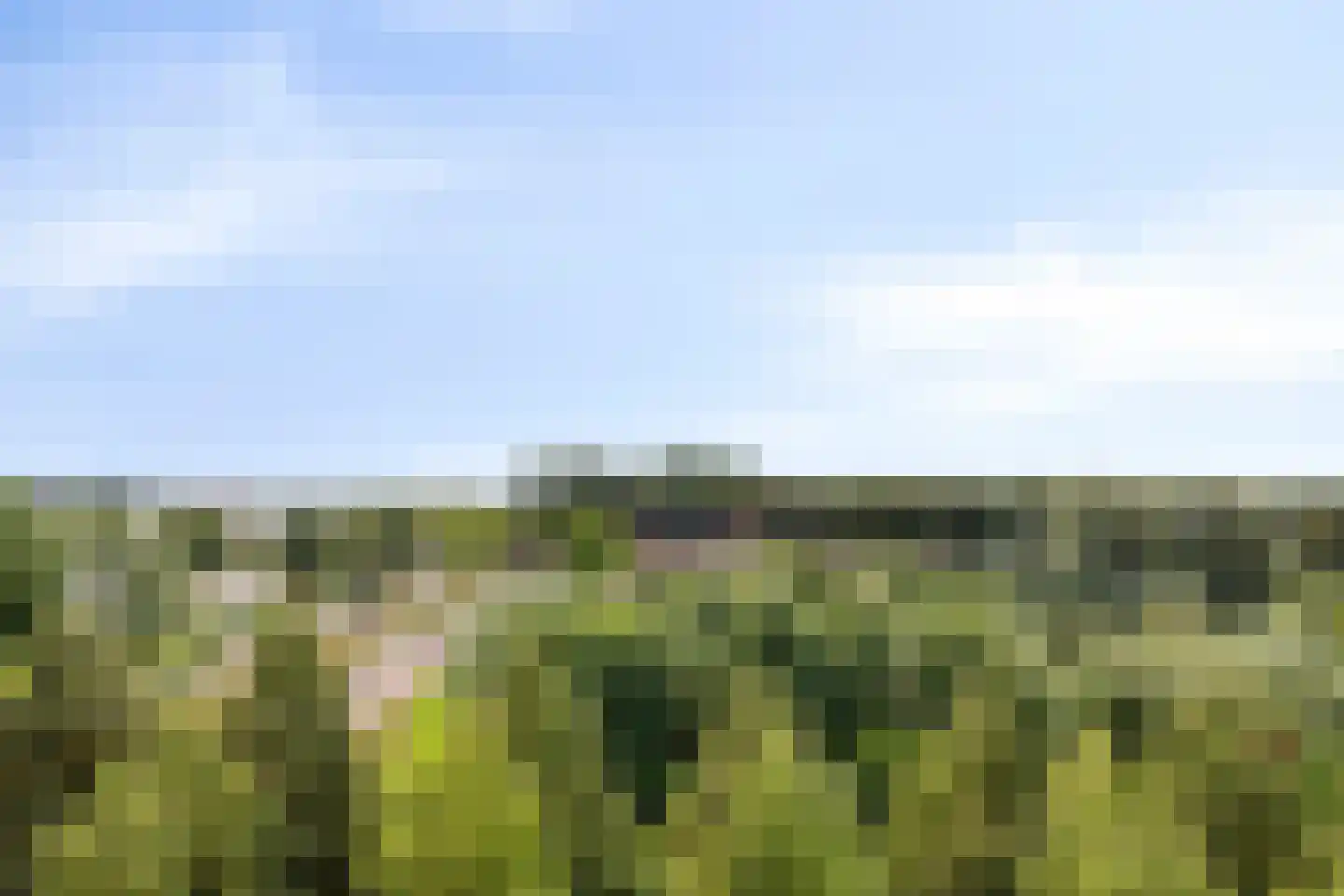 Siersteenlaan 371 Groningen thumbnail 19