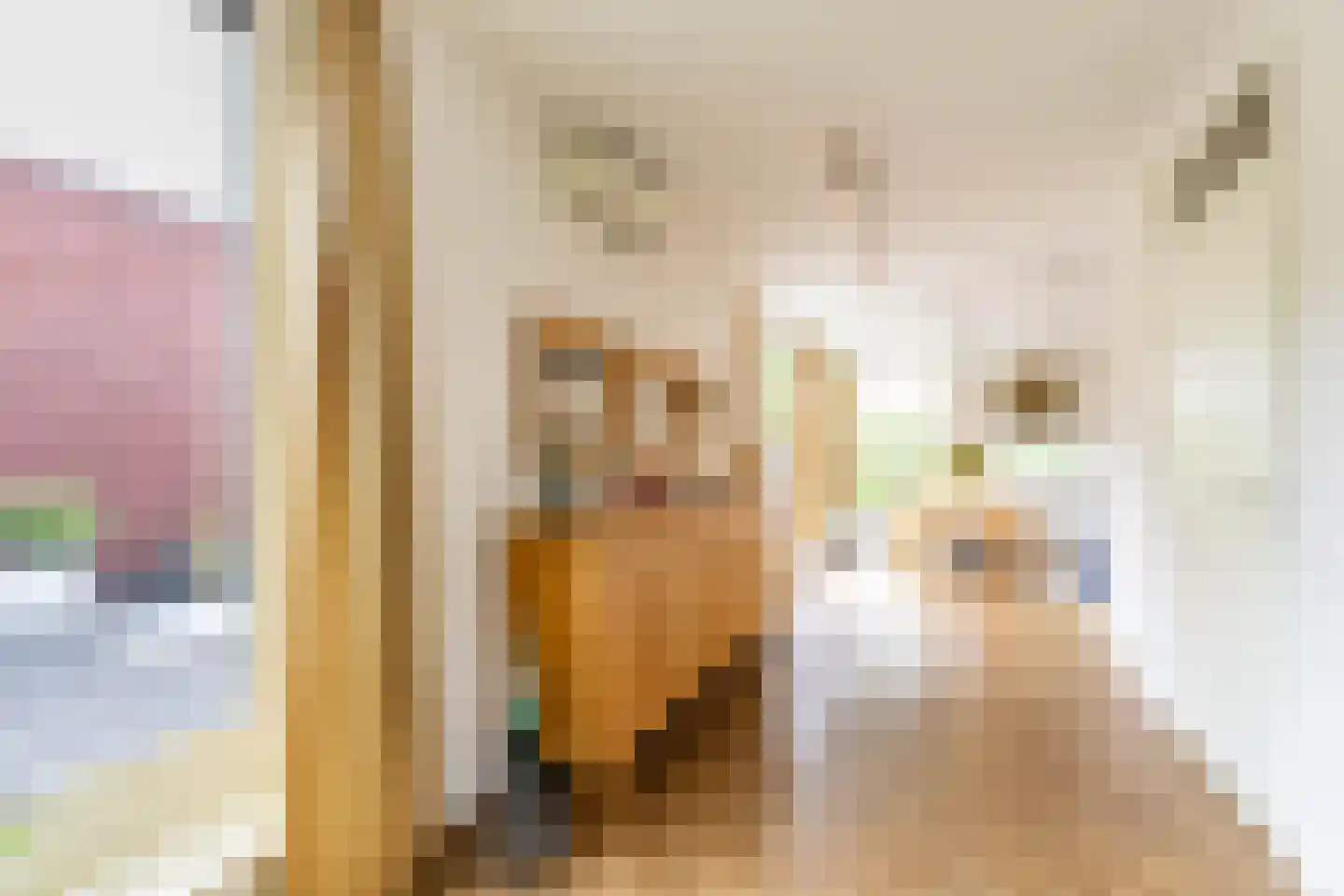 Siersteenlaan 391 Groningen thumbnail 30