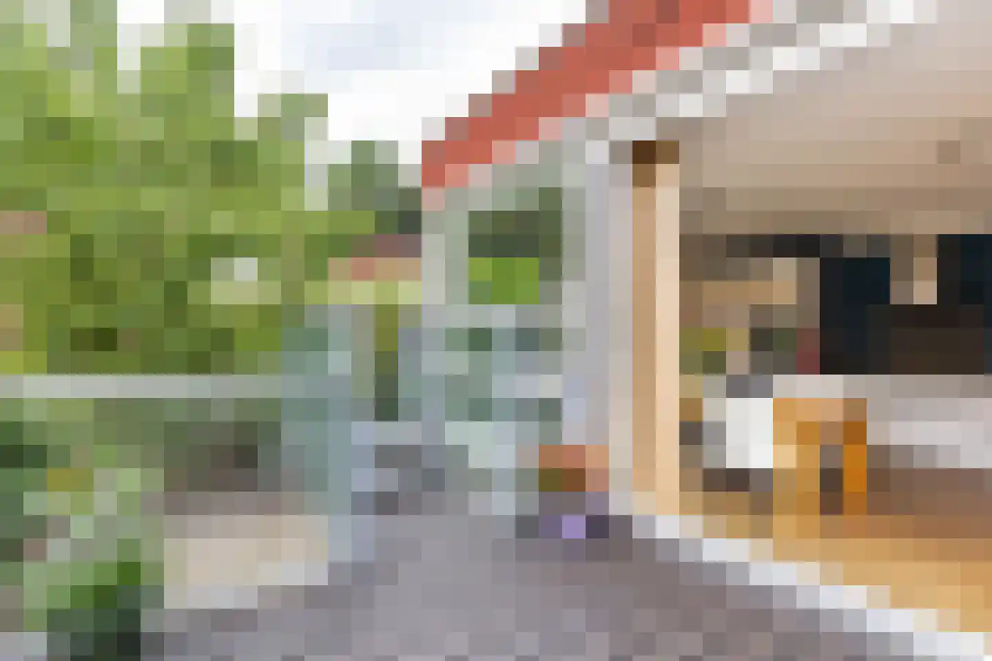 Siersteenlaan 391 Groningen thumbnail 37