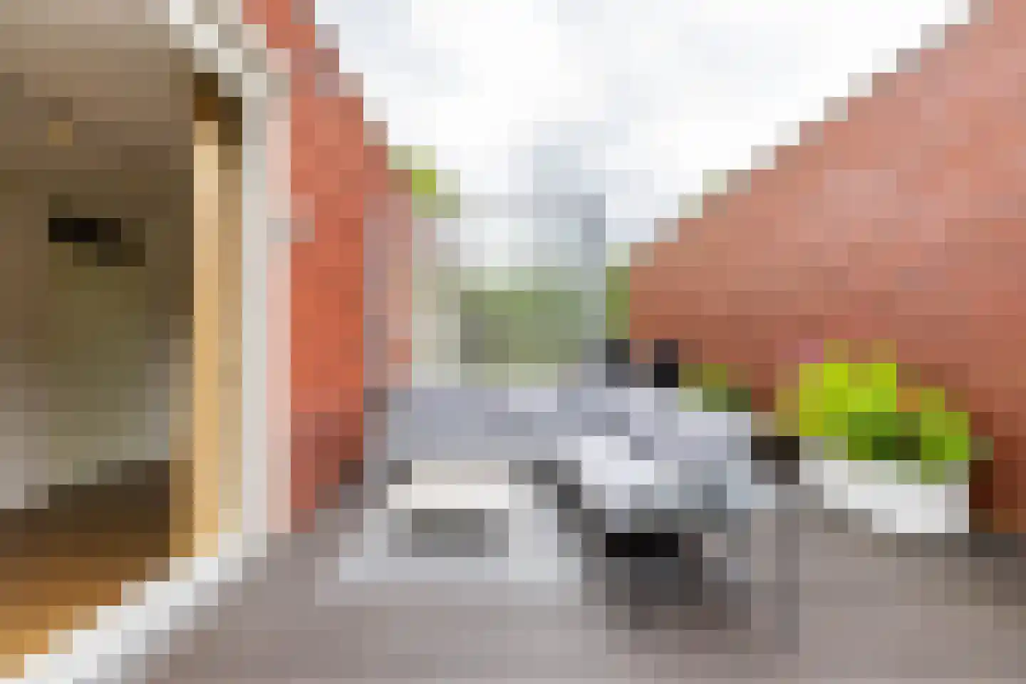 Siersteenlaan 391 Groningen thumbnail 38