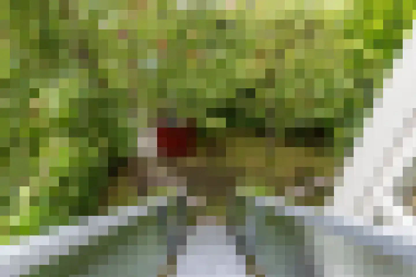 Siersteenlaan 391 Groningen thumbnail 45