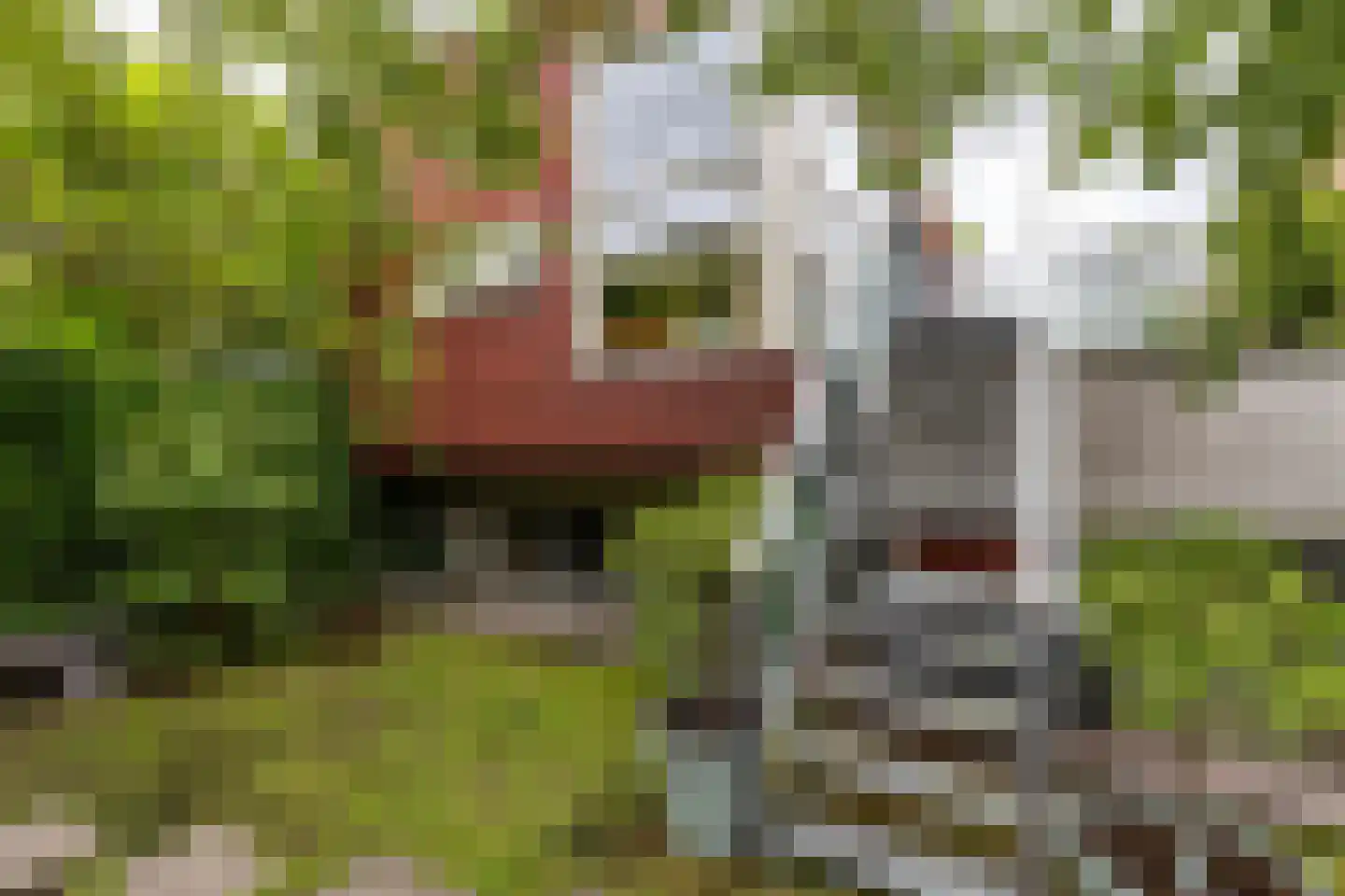 Siersteenlaan 391 Groningen thumbnail 46