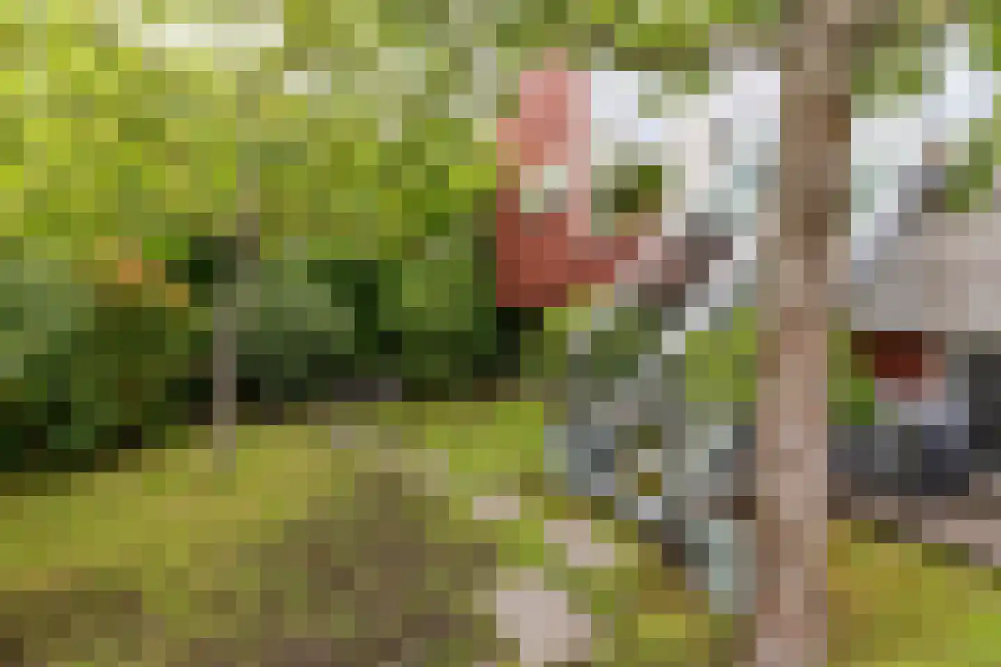 Siersteenlaan 391 Groningen thumbnail 47