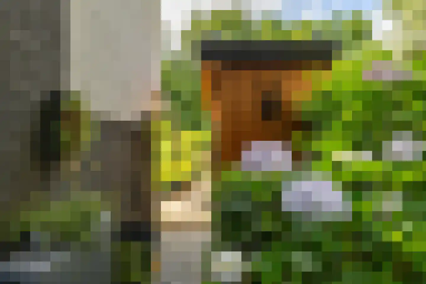 Siersteenlaan 405 Groningen thumbnail 31