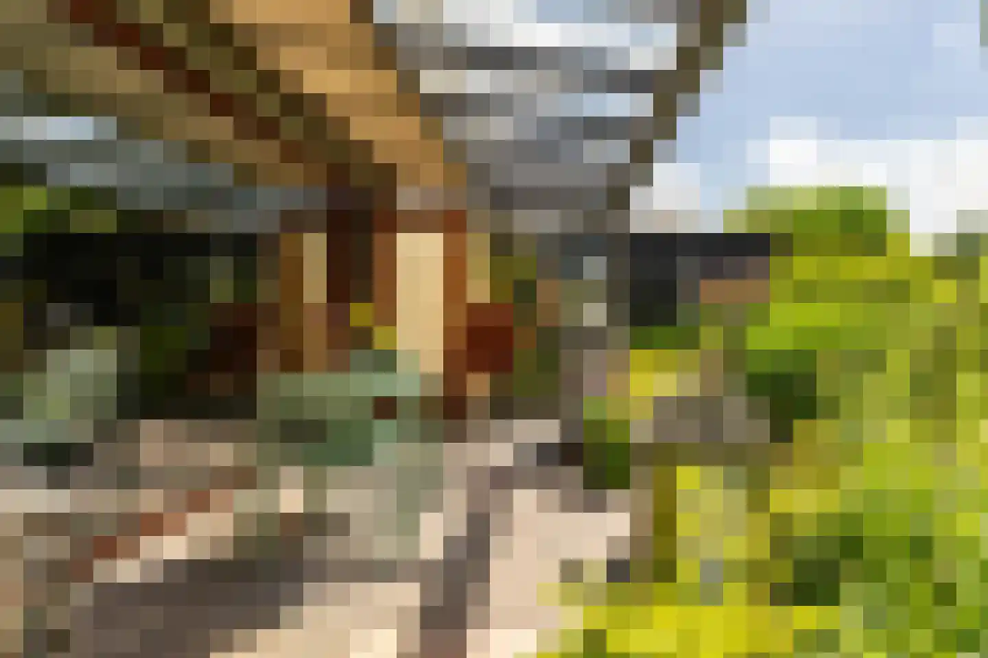 Siersteenlaan 405 Groningen thumbnail 33