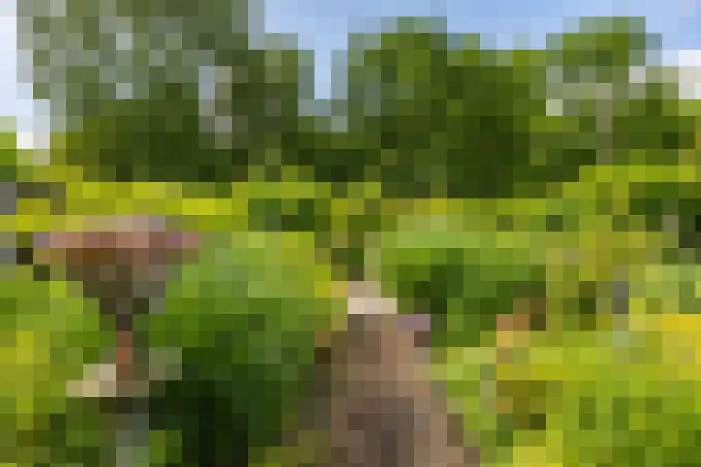 Siersteenlaan 405 Groningen thumbnail 34