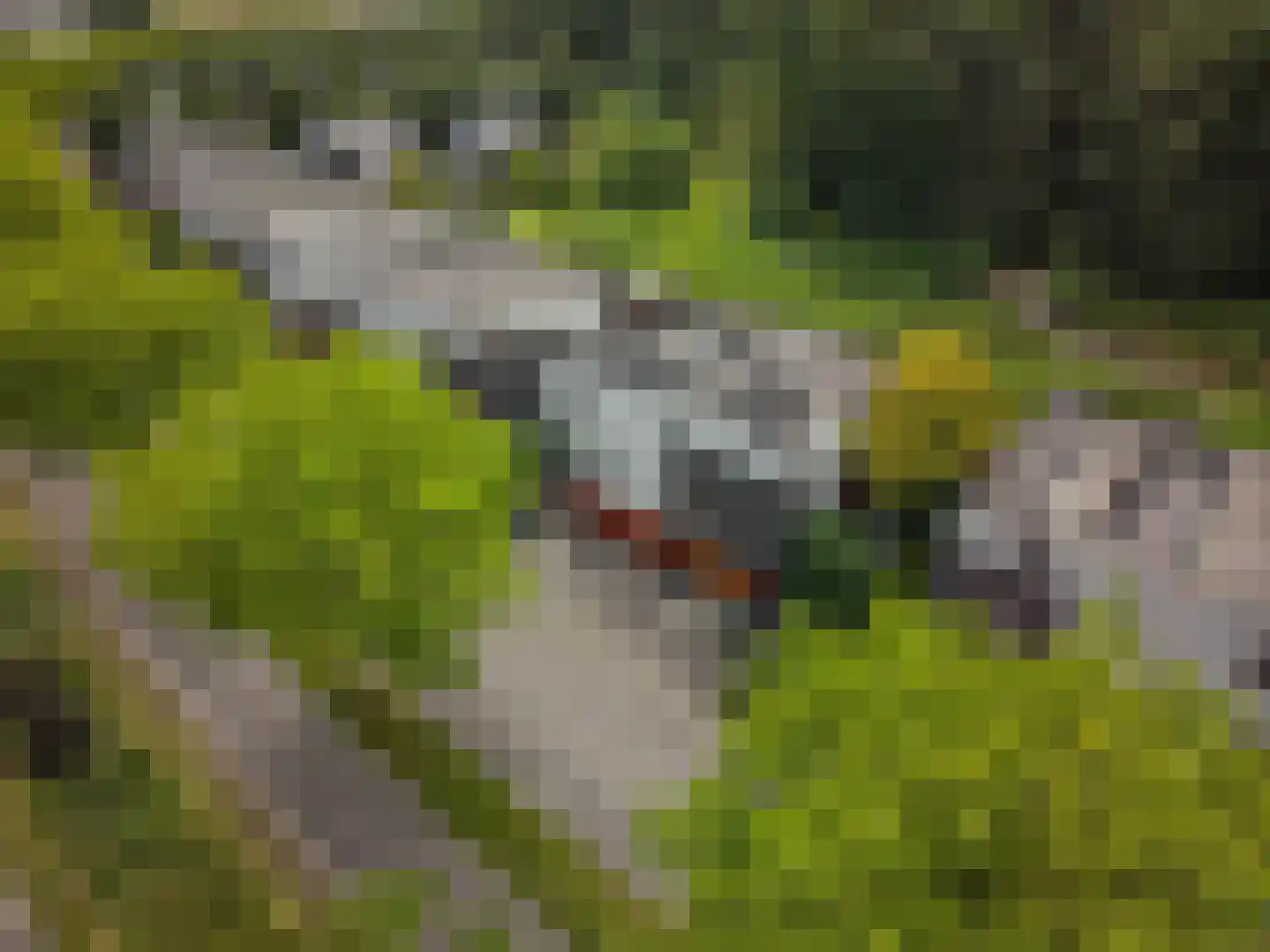 Siersteenlaan 405 Groningen thumbnail 43