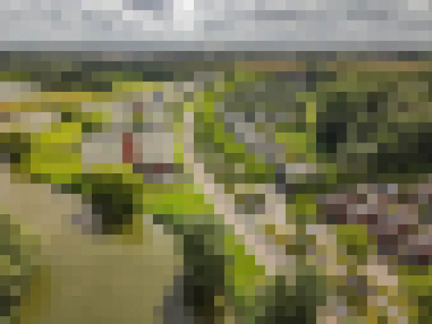 Siersteenlaan 405 Groningen thumbnail 47