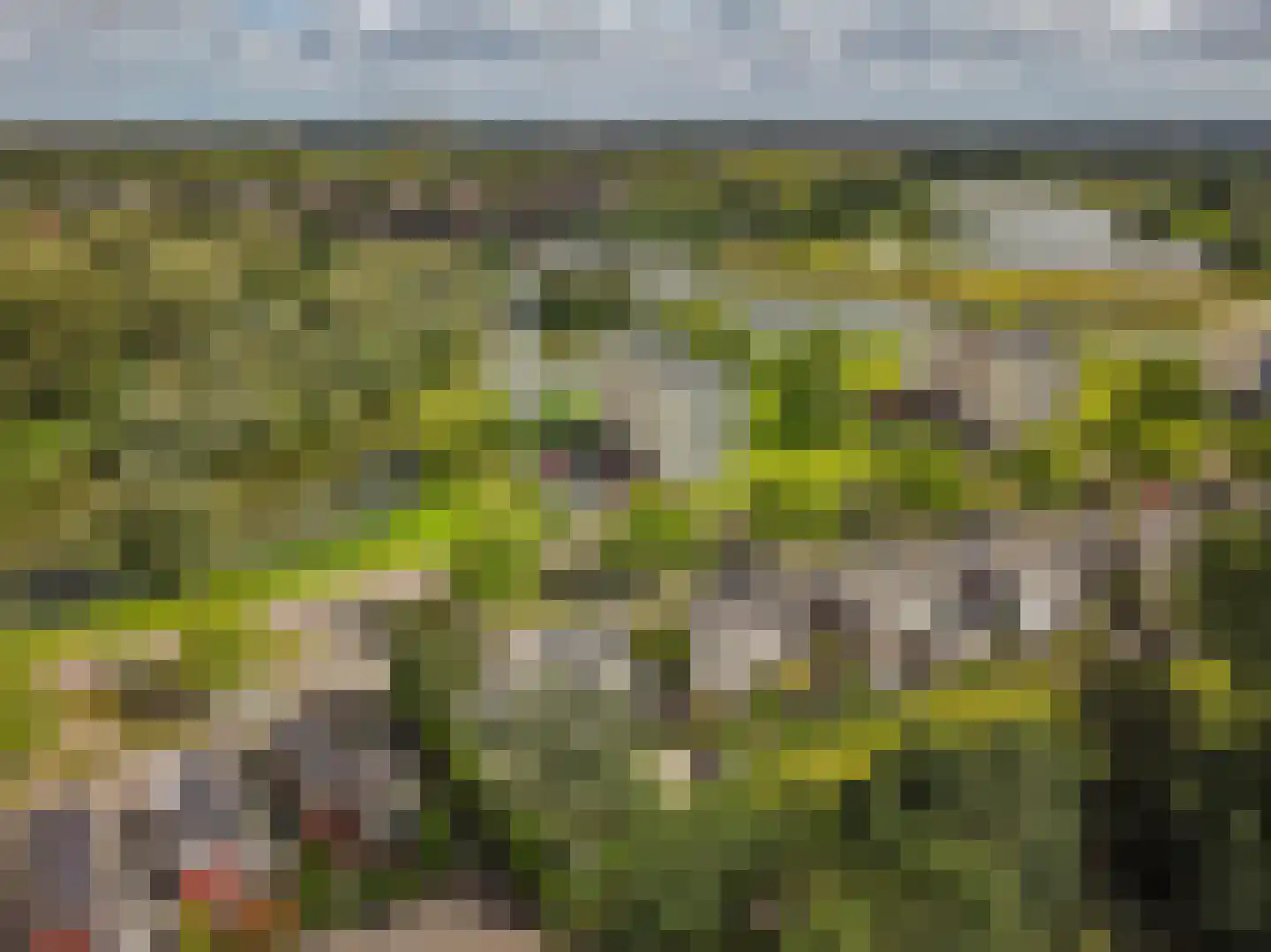 Siersteenlaan 405 Groningen thumbnail 5