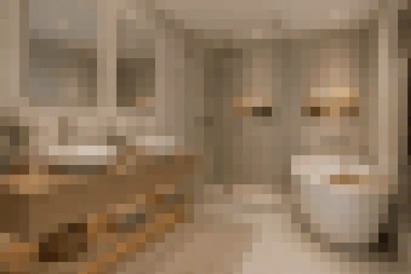 Siersteenlaan 411 Groningen thumbnail 34