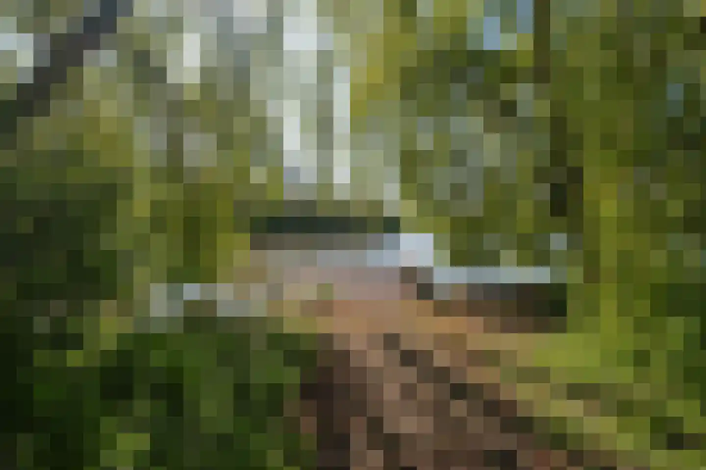 Siersteenlaan 411 Groningen thumbnail 46