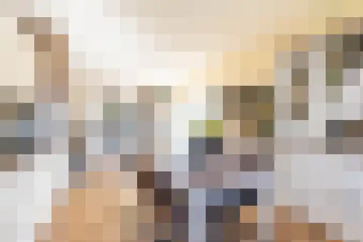 Siersteenlaan 468 1 Groningen thumbnail 16