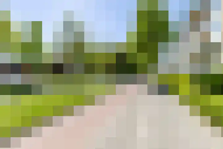 Siersteenlaan 468 1 Groningen thumbnail 34
