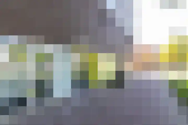 Siersteenlaan 468 1 Groningen thumbnail 5