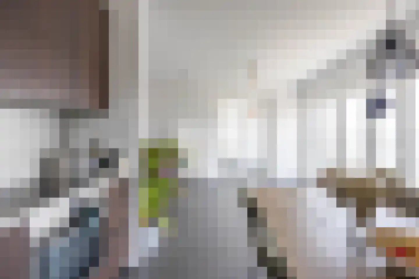 Siersteenlaan 468 18 Groningen thumbnail 16