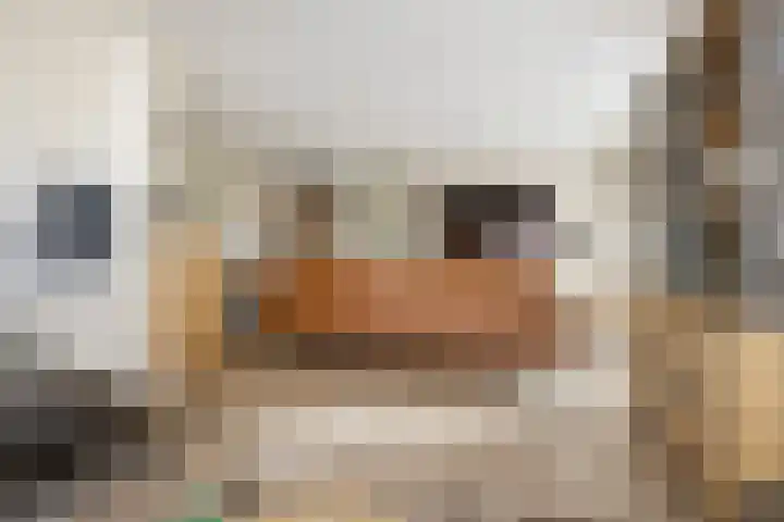 Siersteenlaan 468 21 Groningen thumbnail 17