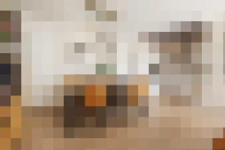 Siersteenlaan 468 21 Groningen thumbnail 19