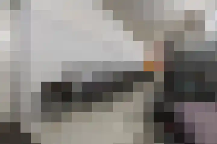 Siersteenlaan 468 21 Groningen thumbnail 35