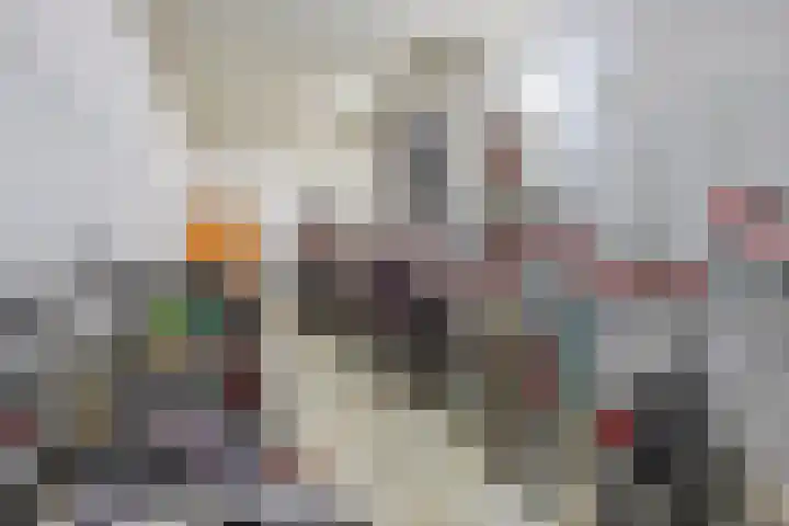 Siersteenlaan 468 23 Groningen thumbnail 25