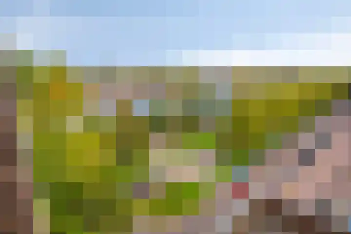 Siersteenlaan 468 23 Groningen thumbnail 29