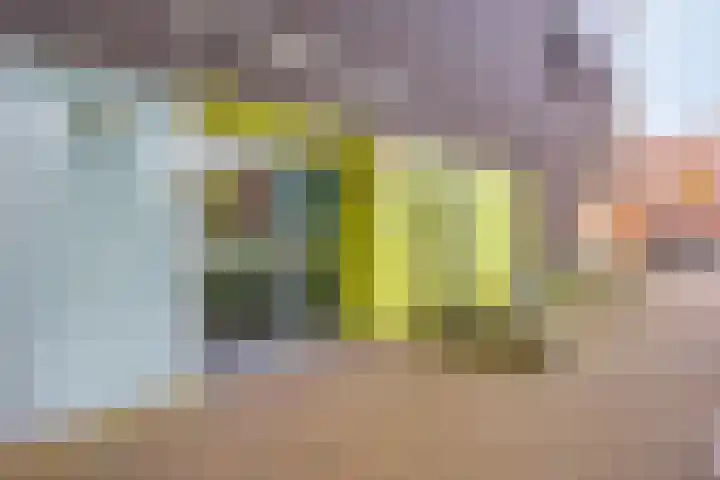 Siersteenlaan 468 23 Groningen thumbnail 4