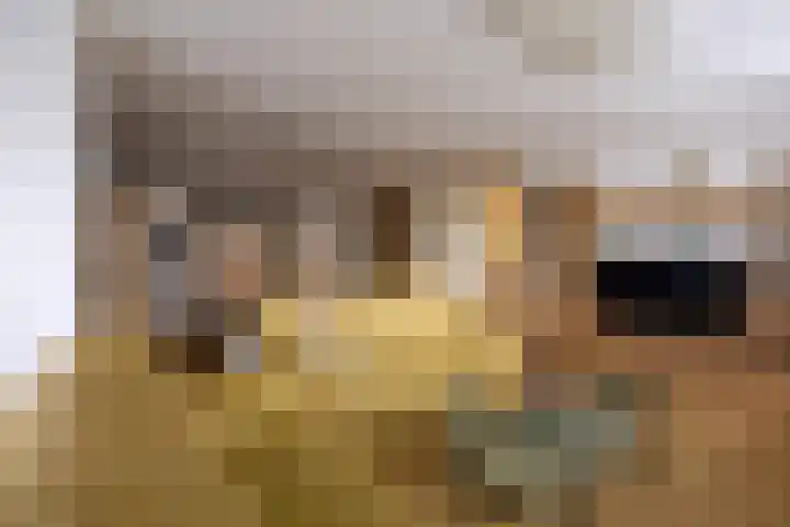 Siersteenlaan 468 33 Groningen thumbnail 10