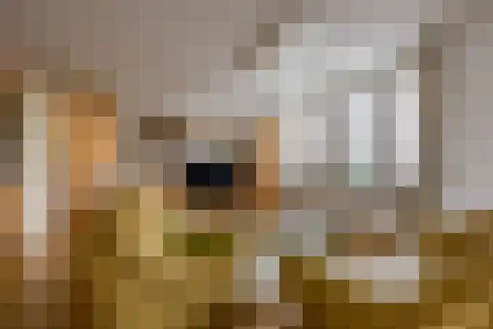 Siersteenlaan 468 33 Groningen thumbnail 11