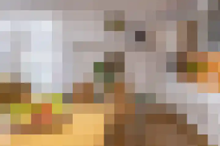 Siersteenlaan 468 33 Groningen thumbnail 16