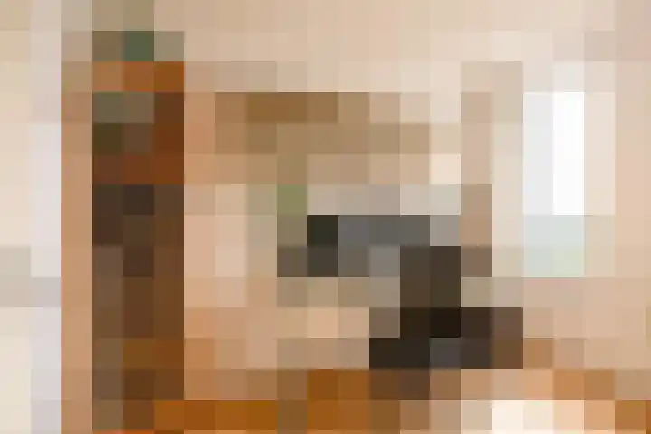 Siersteenlaan 468 33 Groningen thumbnail 30
