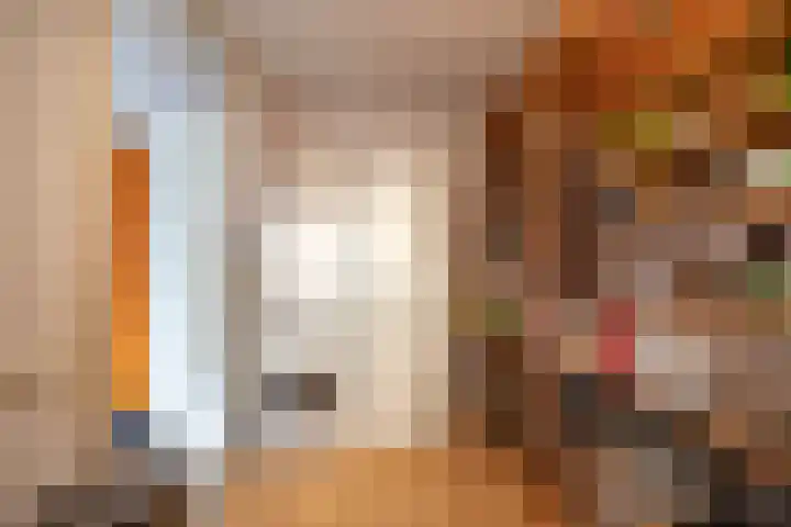 Siersteenlaan 468 33 Groningen thumbnail 34