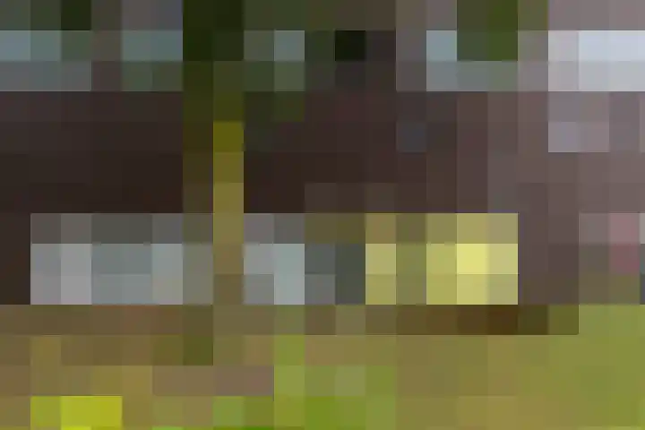 Siersteenlaan 468 33 Groningen thumbnail 4