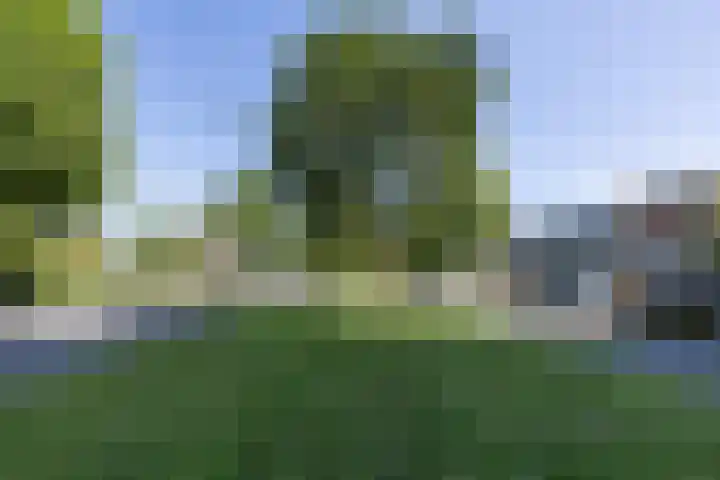 Siersteenlaan 468 33 Groningen thumbnail 41