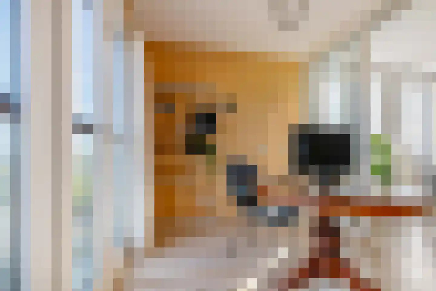 Siersteenlaan 468 40 Groningen thumbnail 18