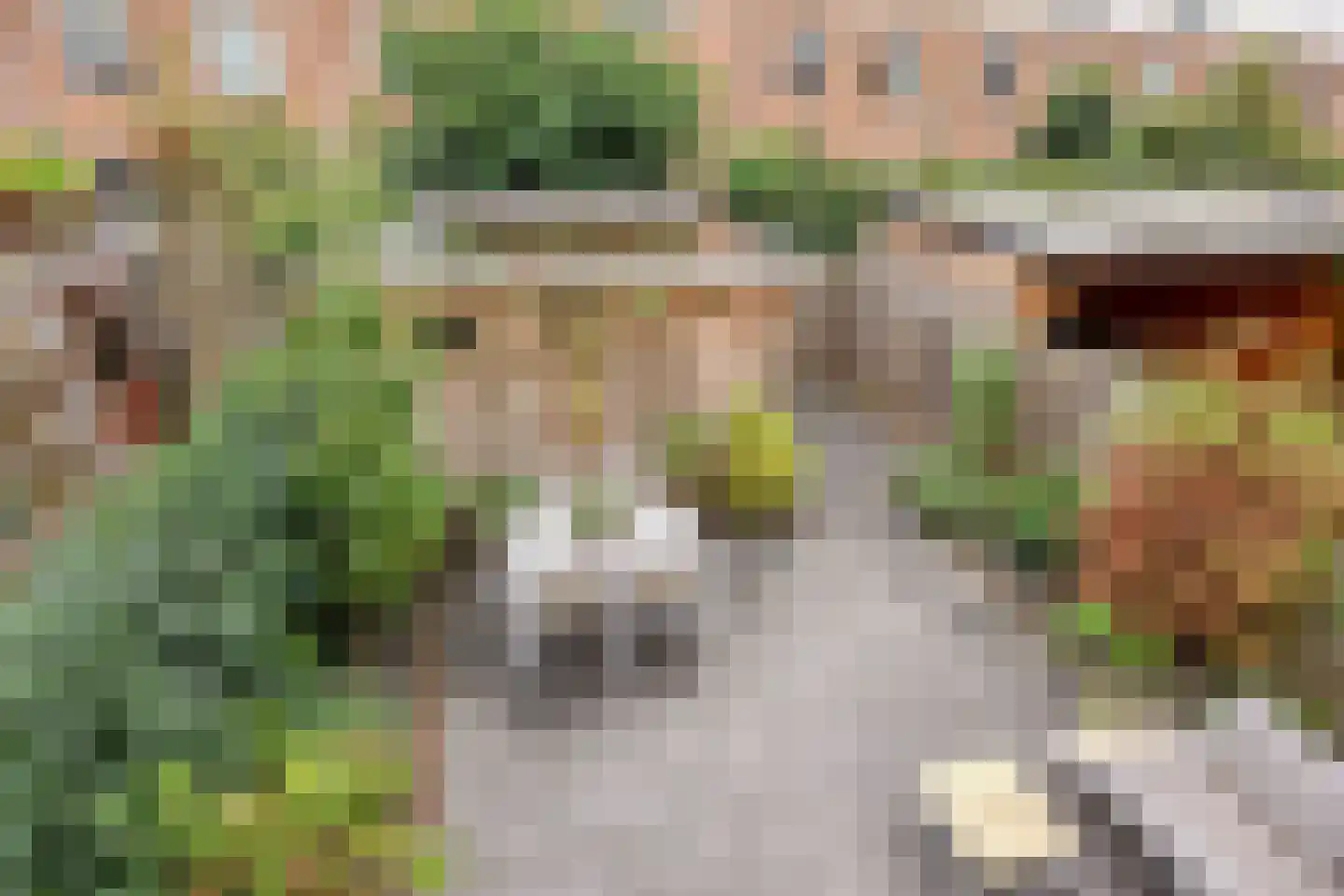 Siertuin 20 Houten thumbnail 31