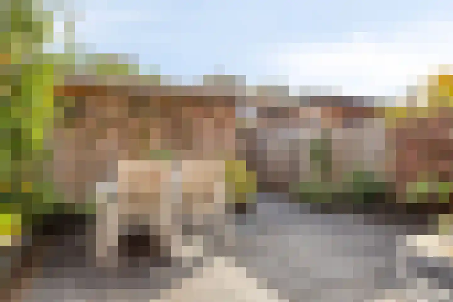 Siertuin 20 Houten thumbnail 33