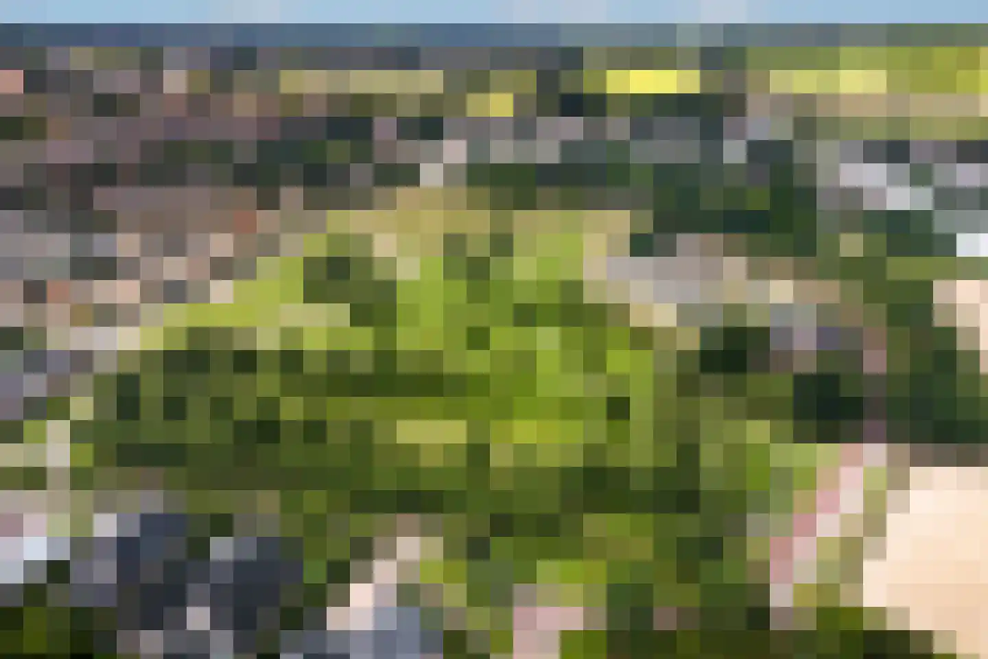Siertuin 20 Houten thumbnail 37
